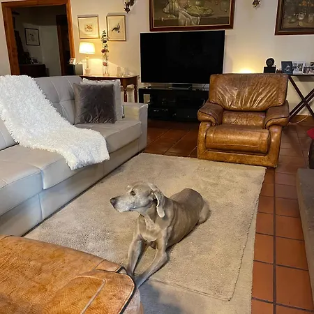 Casas De Pedra Camacha (Madeira)