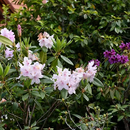 农家乐 Casas De Pedra 卡马查