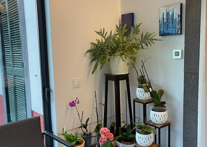 Casas De Pedra בית חווה *