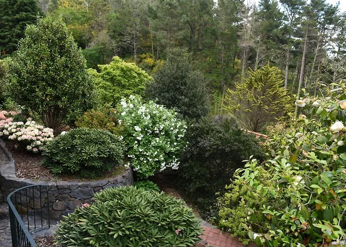 Casas De Pedra Camacha (Madeira)