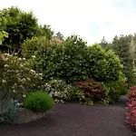 Casas De Pedra *