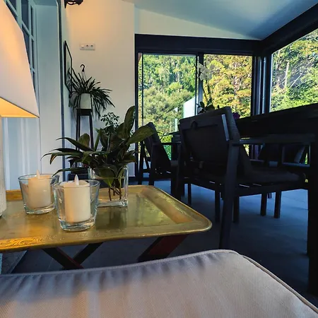 Casas De Pedra * Camacha (Madeira)