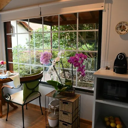 Casas De Pedra * Camacha (Madeira)
