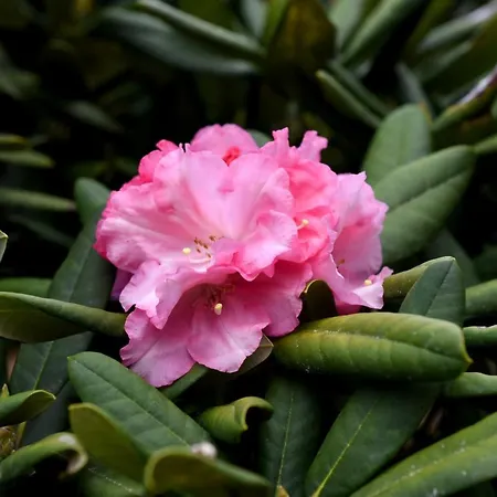 Casas De Pedra 팜스테이 캐마차