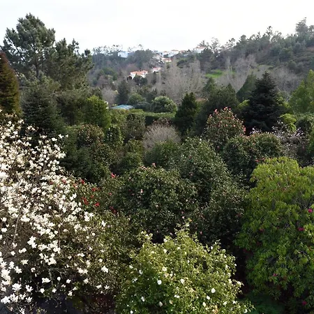 팜스테이 Casas De Pedra *