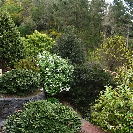 Casas De Pedra Camacha (Madeira)