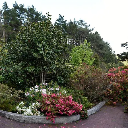 팜스테이 Casas De Pedra *