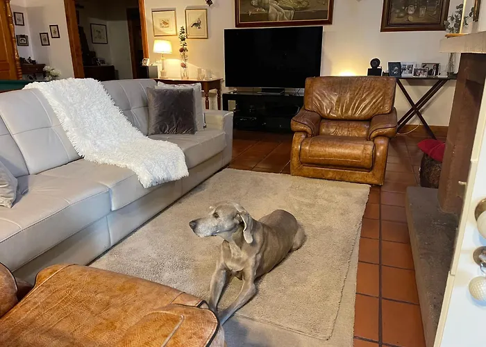 Casas De Pedra Camacha (Madeira)