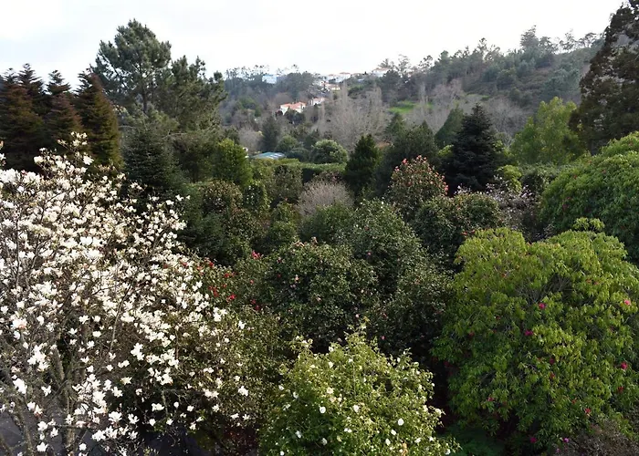 Farma Casas De Pedra *