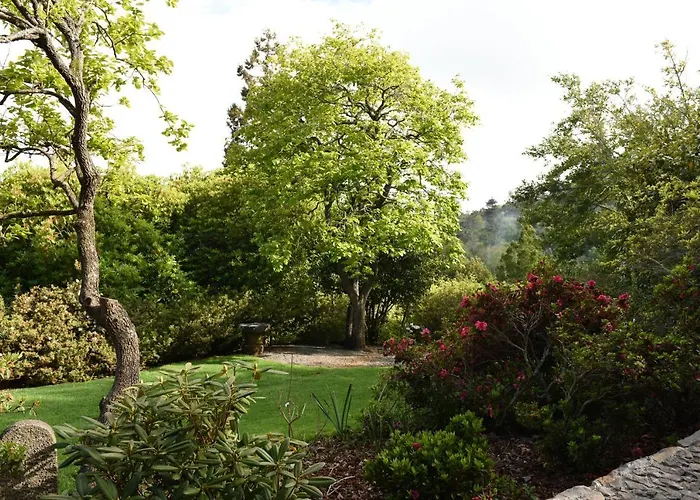 Farma Casas De Pedra *